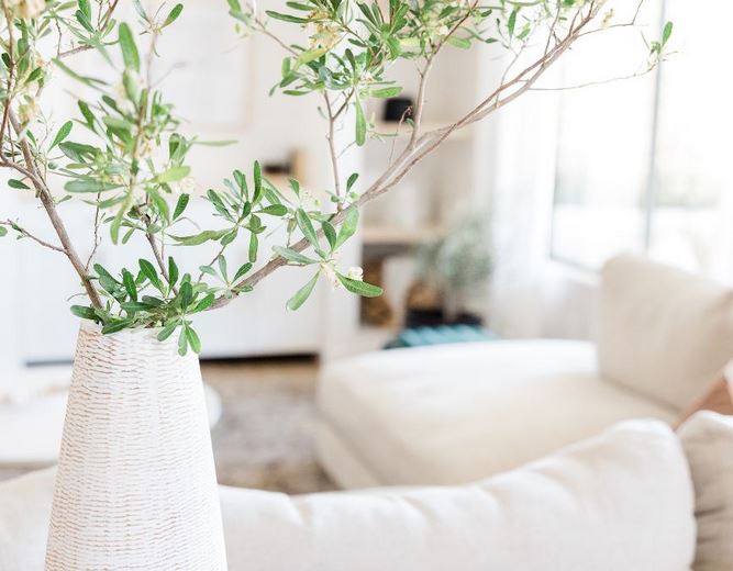 How to create a calming and peaceful home environment