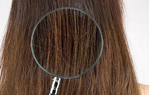  How to Choose the Right Hair Products for Thick and Coarse Hair