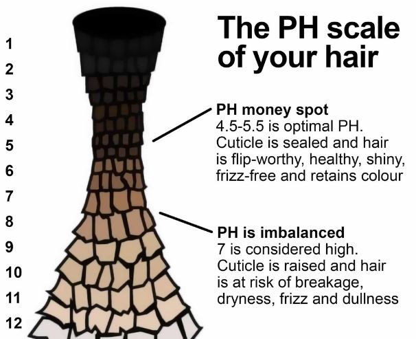  The Science Behind Hair pH: Balancing Your Hair's Health